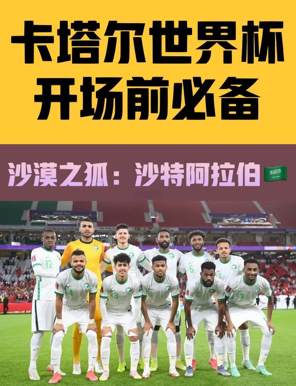 塞浦路斯逆袭挤掉阿尔巴尼亚，斯洛文尼亚憾负沙特阿拉伯无缘晋级的简单介绍